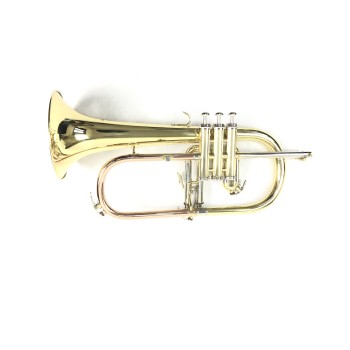 Flugelhorn DASONS FG8611G Laqueado Si Bemol